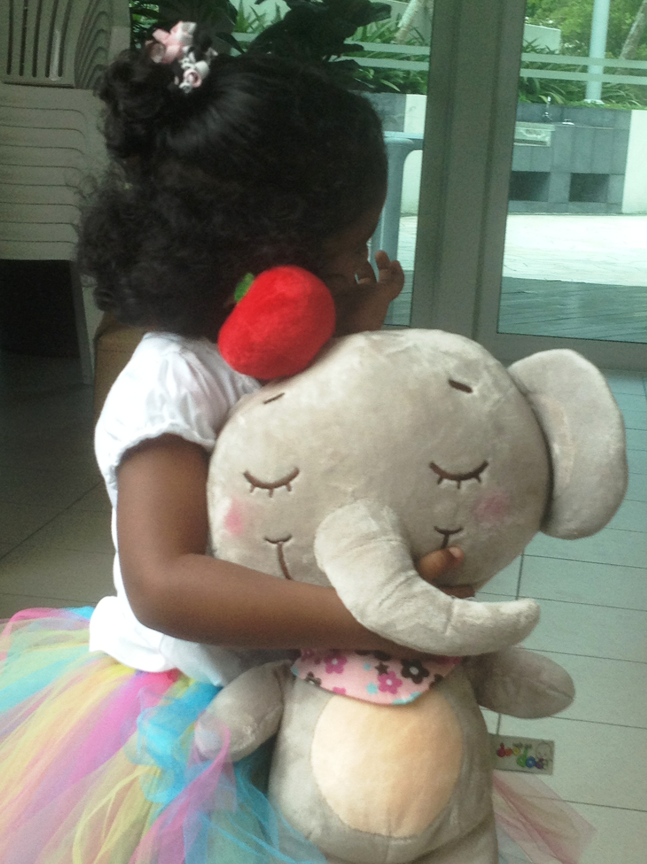 Grey elephant and my lil one