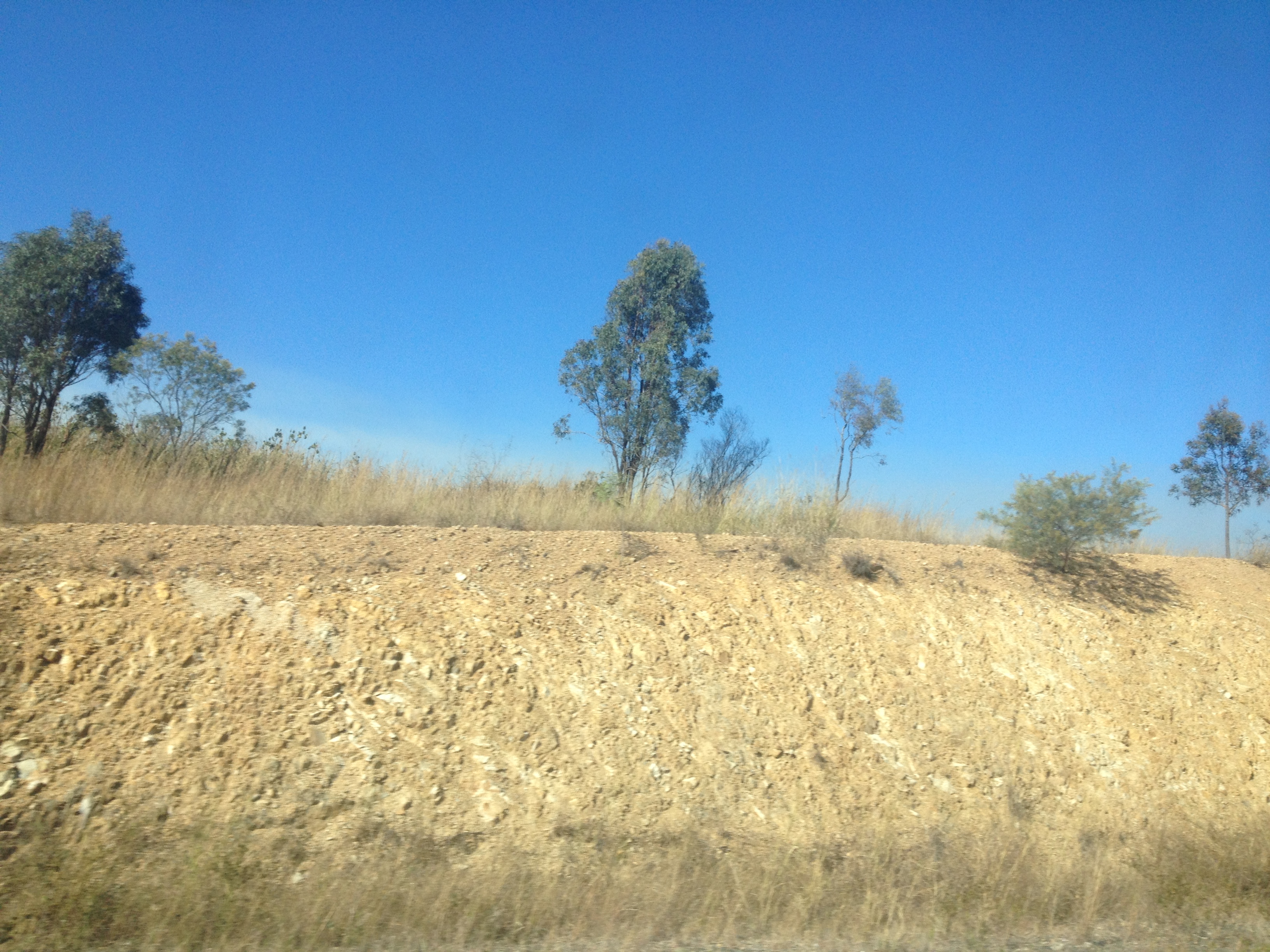 The dry grasslands of Gladstone