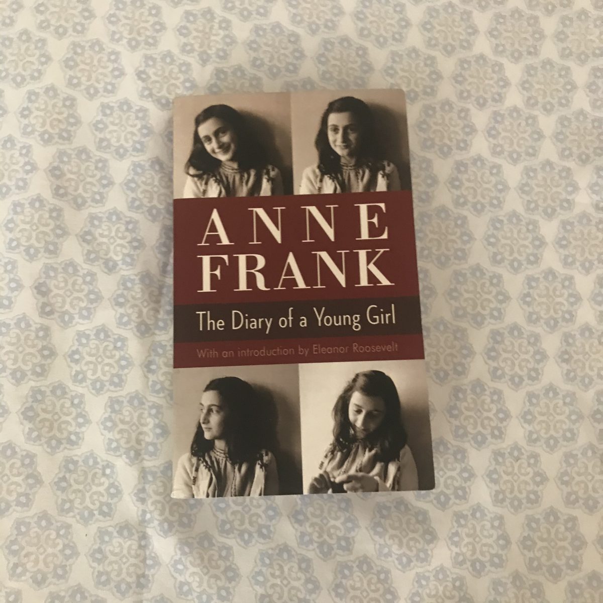 Mint Girl Sees The Diary Of Anne Frank Play