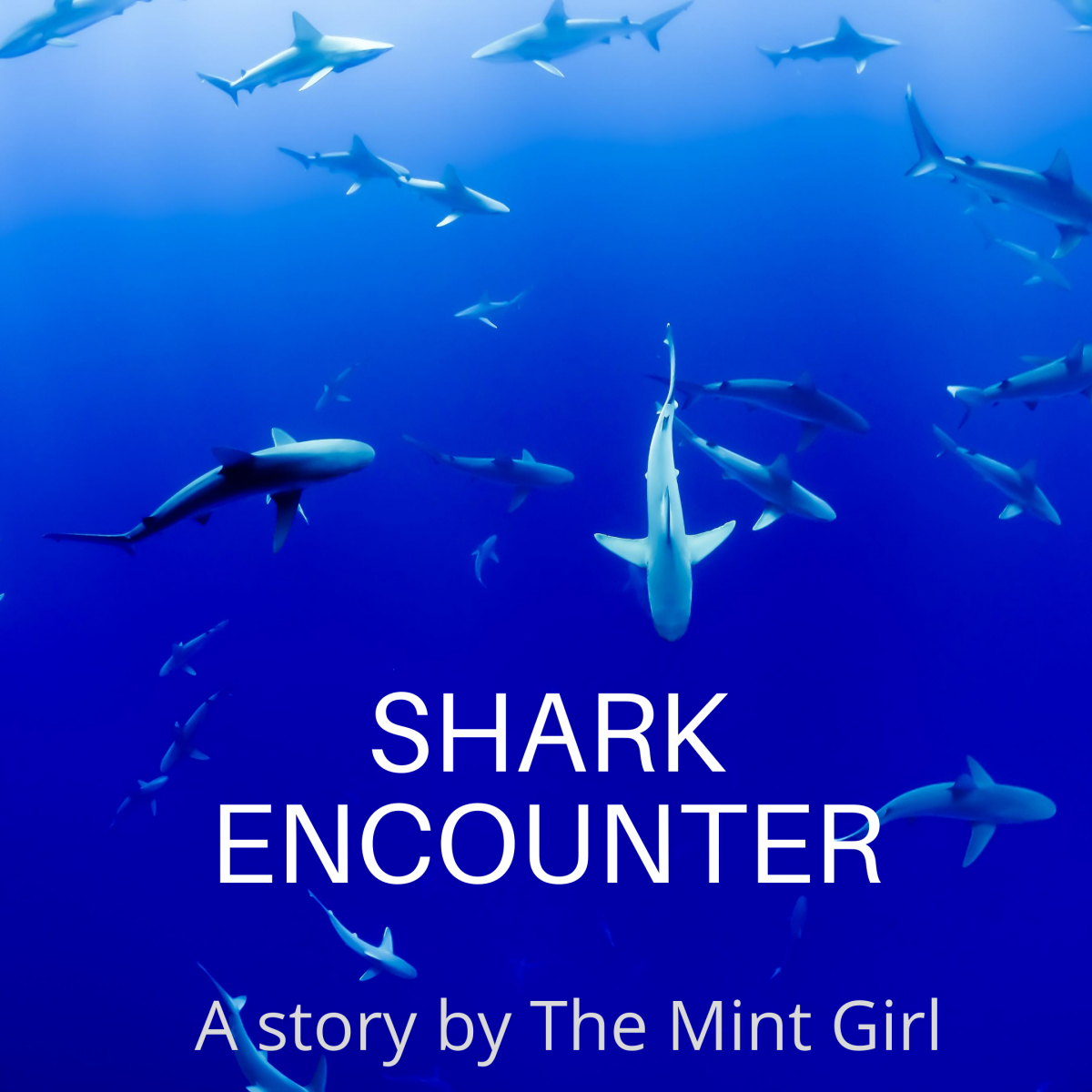 Shark Encounter by The Mint Girl