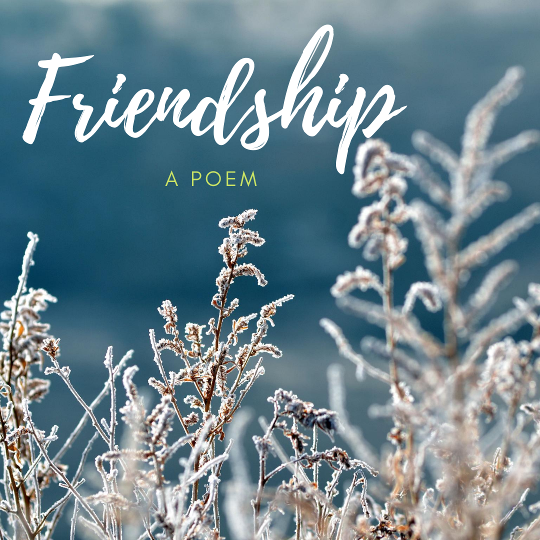 Friendship: a poem