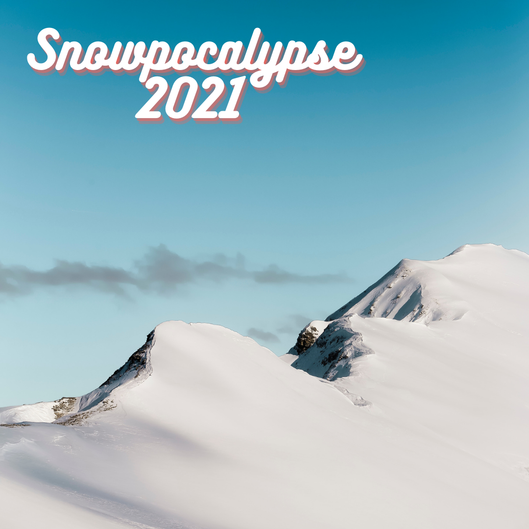 Snowpocalypse 2021