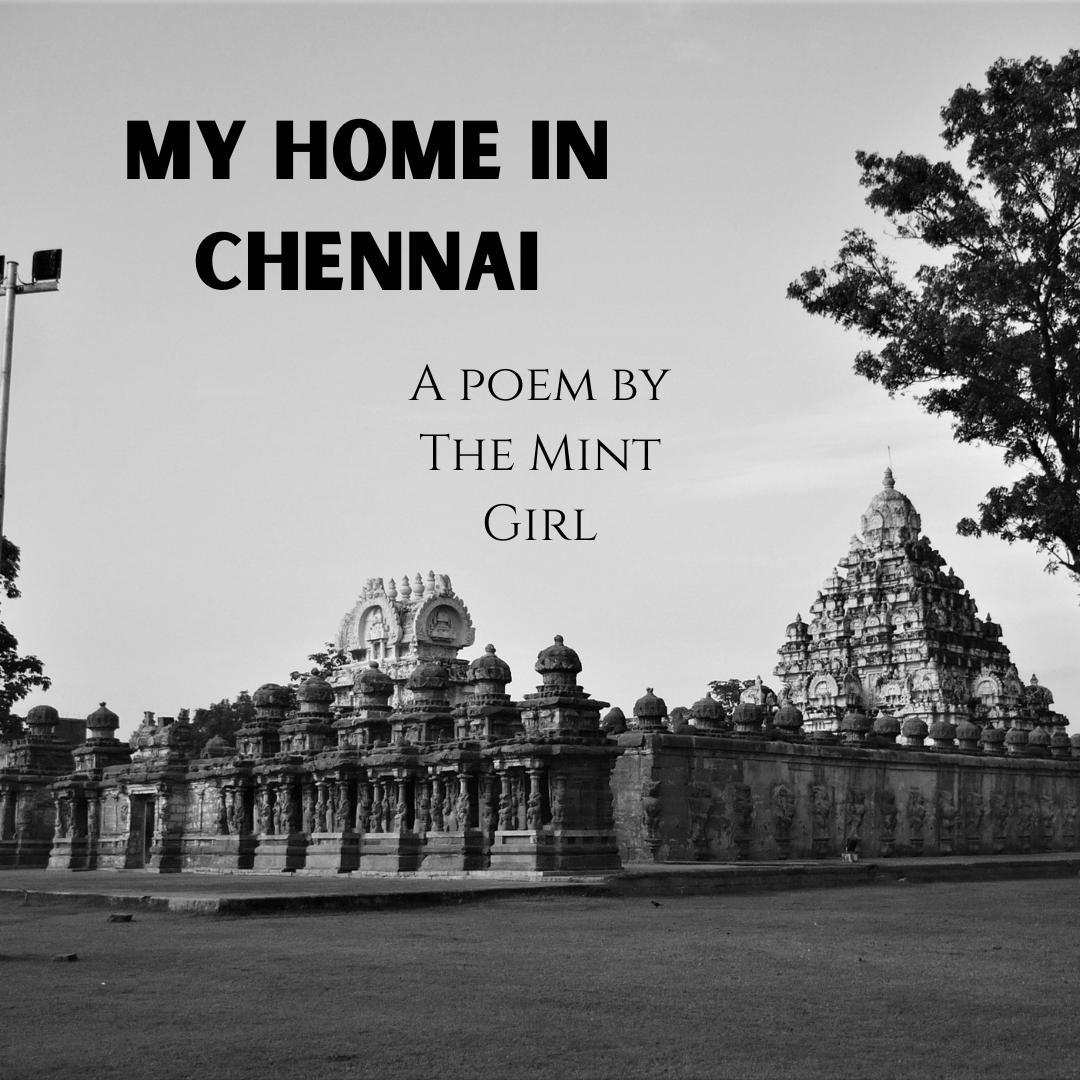 My Home in Chennai