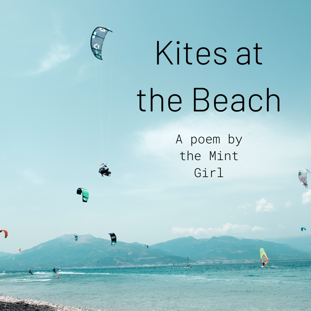 Kites at the Beach
