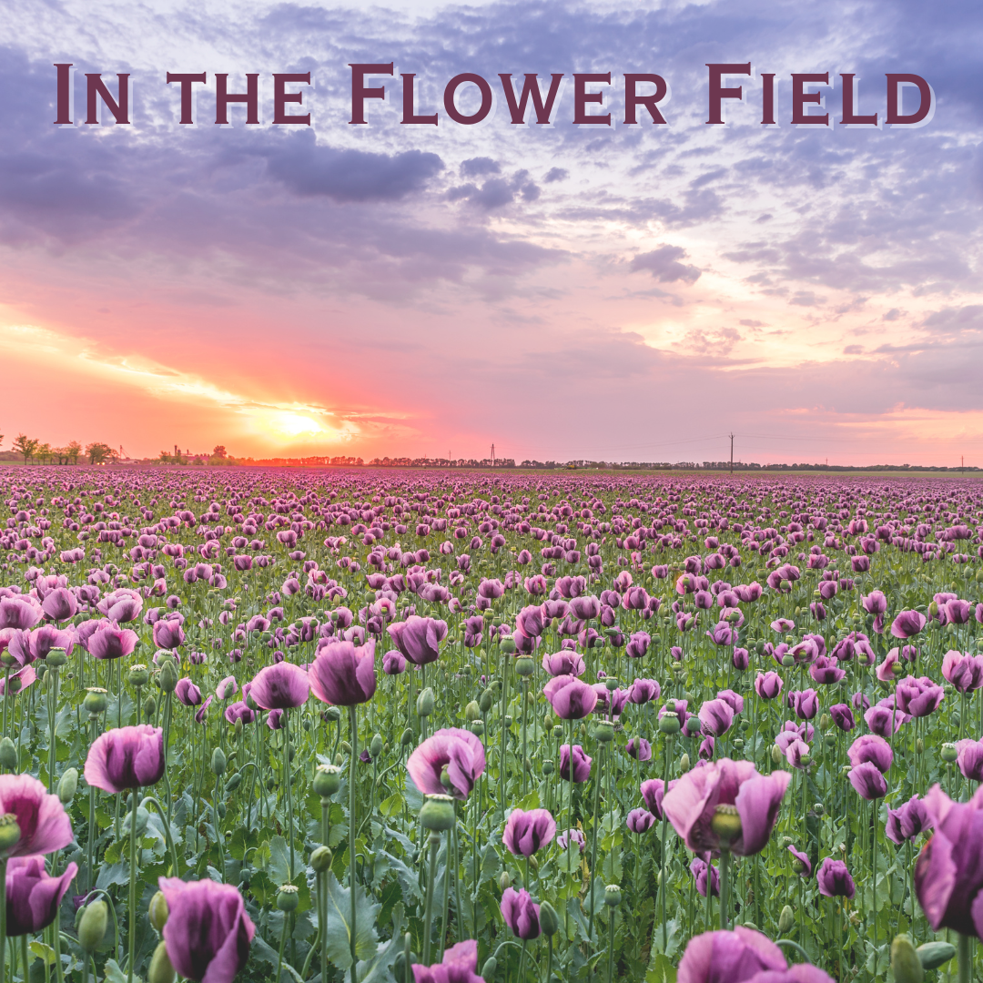 In The Flower Field