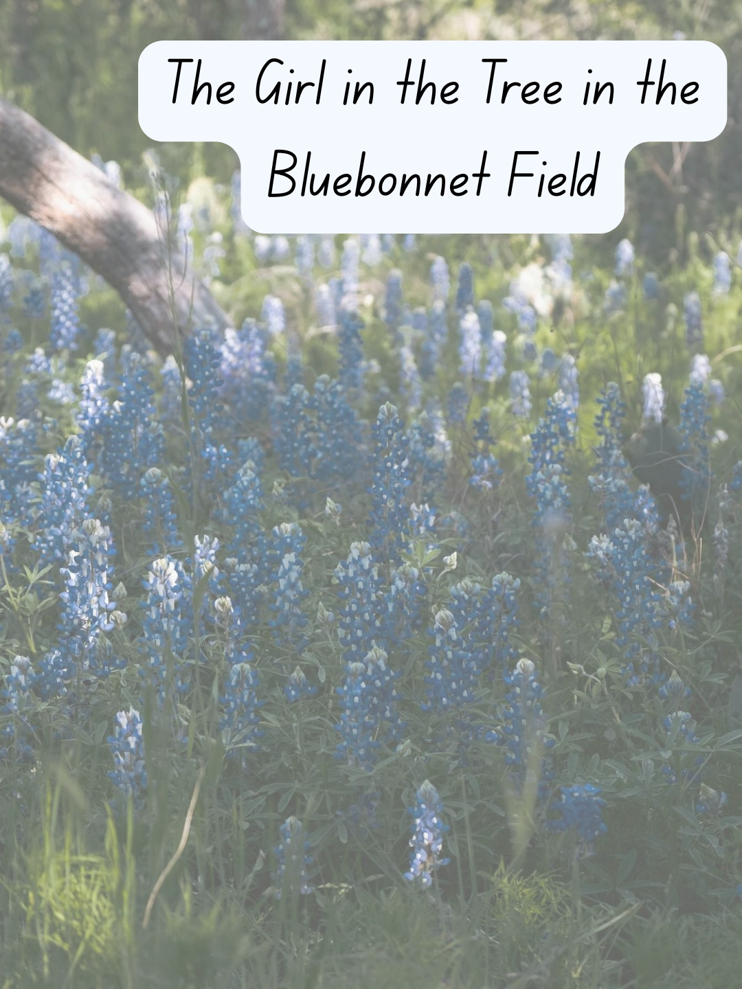 The Girl in the Tree in the Bluebonnet Field