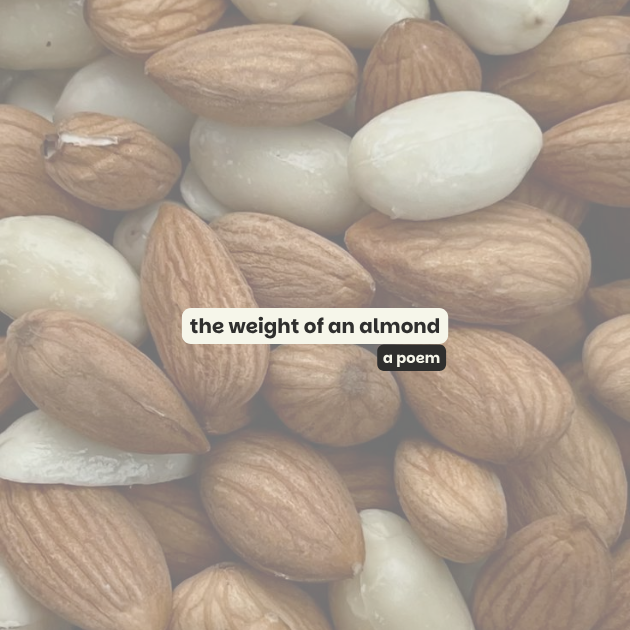 the weight of an almond- a poem